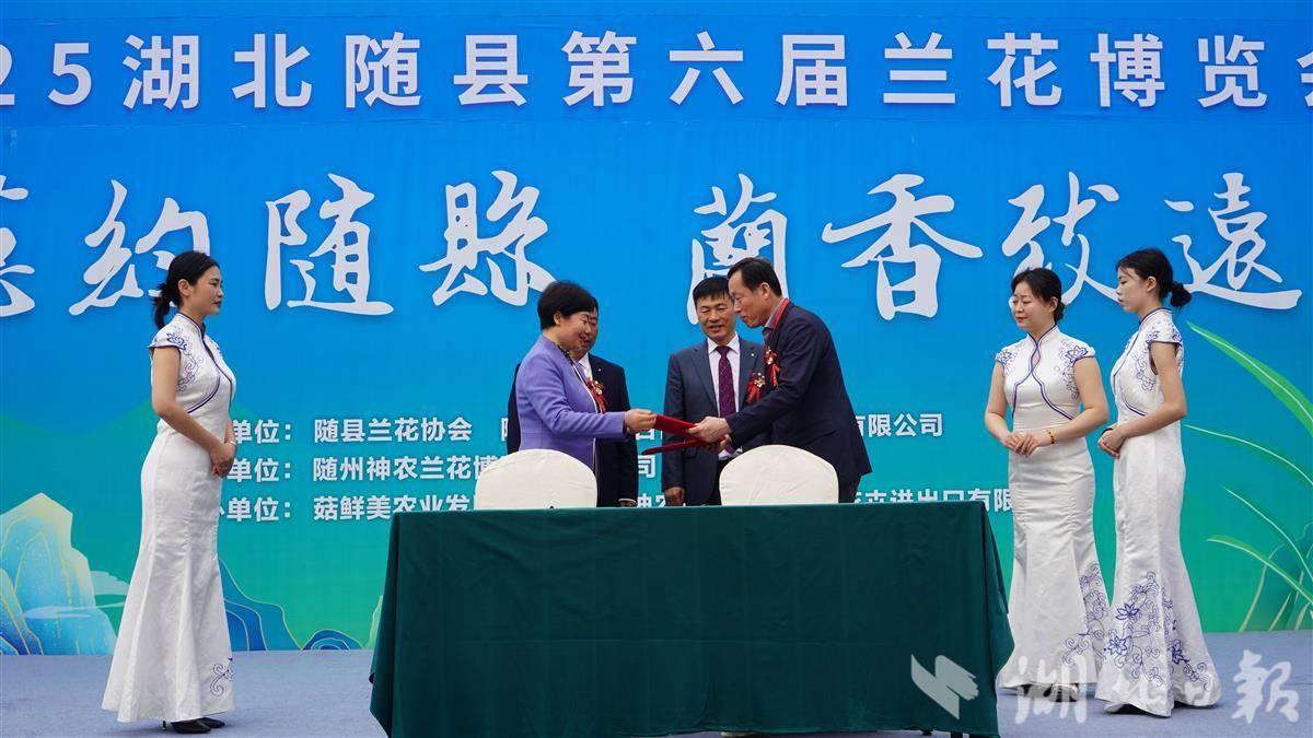 神农国兰（湖北）花卉进出口有限公司签订兰花经贸战略协议
神农国兰（湖北）花卉进出口有限公司签订兰花经贸战略协议