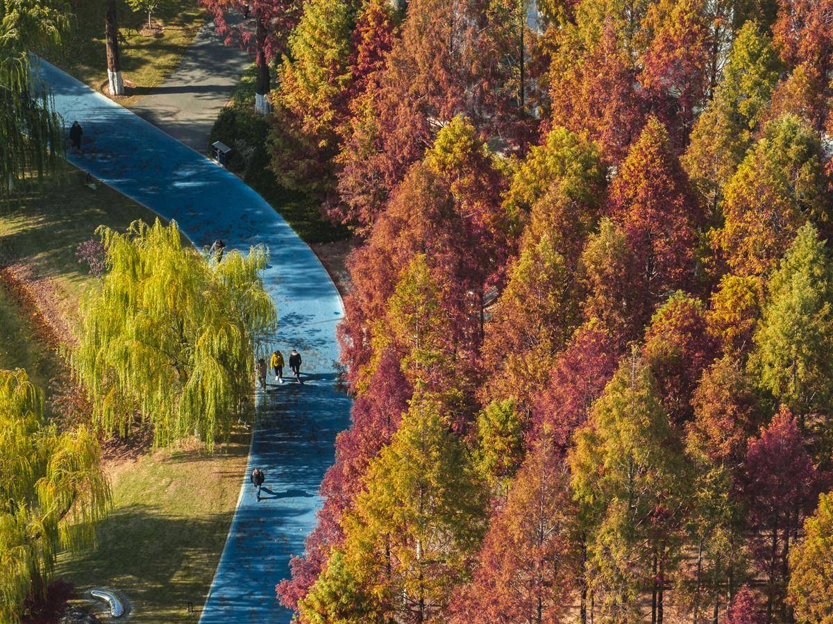 DJI_0062.jpg DJI_0062.jpg