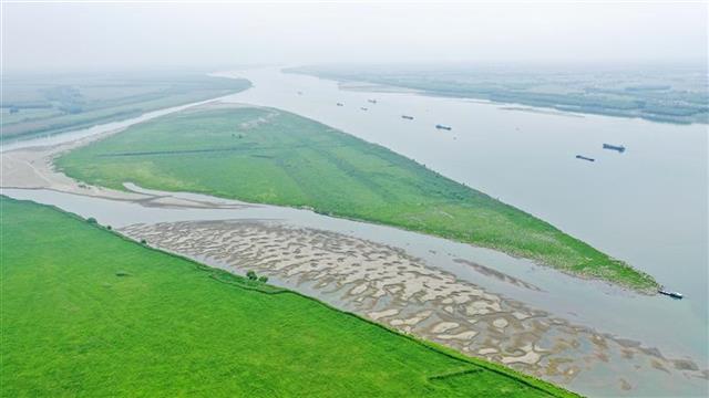 荆江率先在长江流域建成生态航道江段内江豚麋鹿等一级保护动物显著