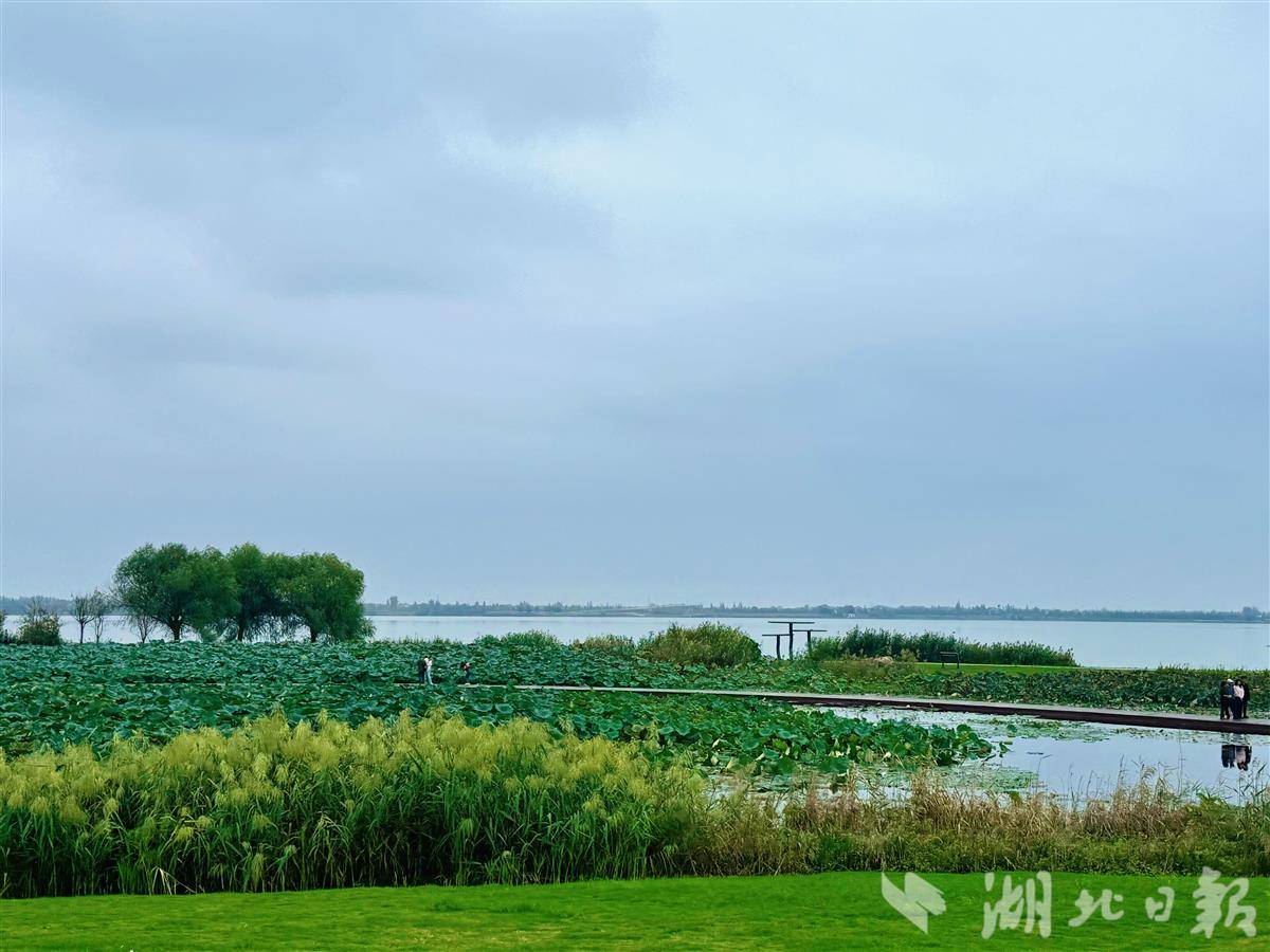 金湖222.jpg
