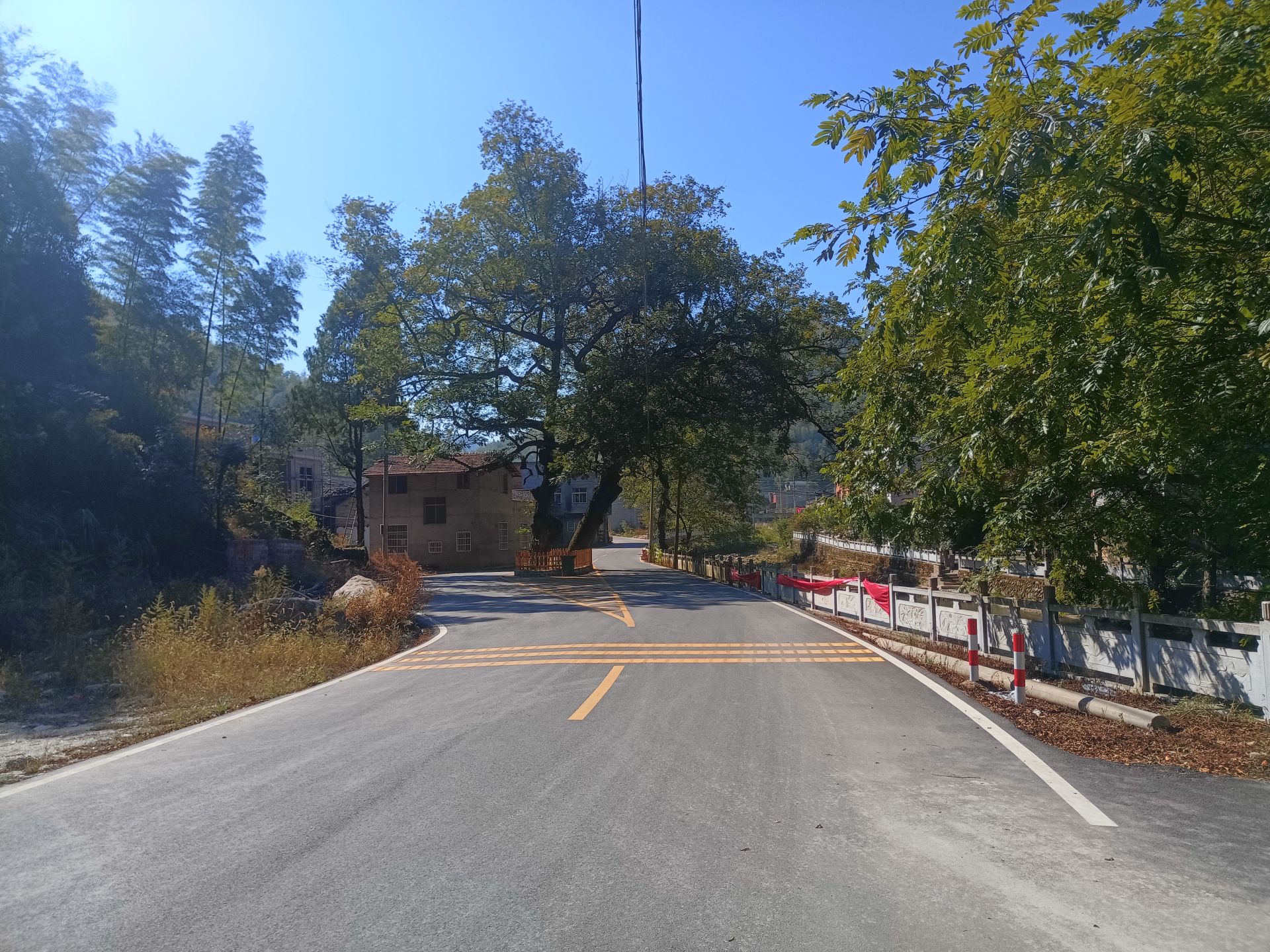 通山县闯王镇环境整治下真功乡村面貌换新颜