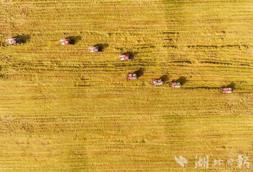 DJI_0058副本.jpg