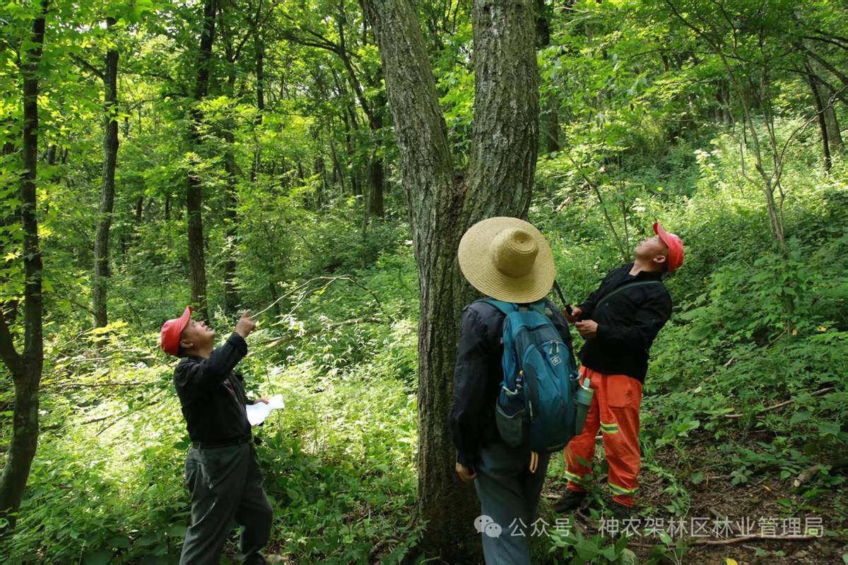 85c051b4ec2a7b20999fa166dd6e5664.jpg 85c051b4ec2a7b20999fa166dd6e5664.jpg