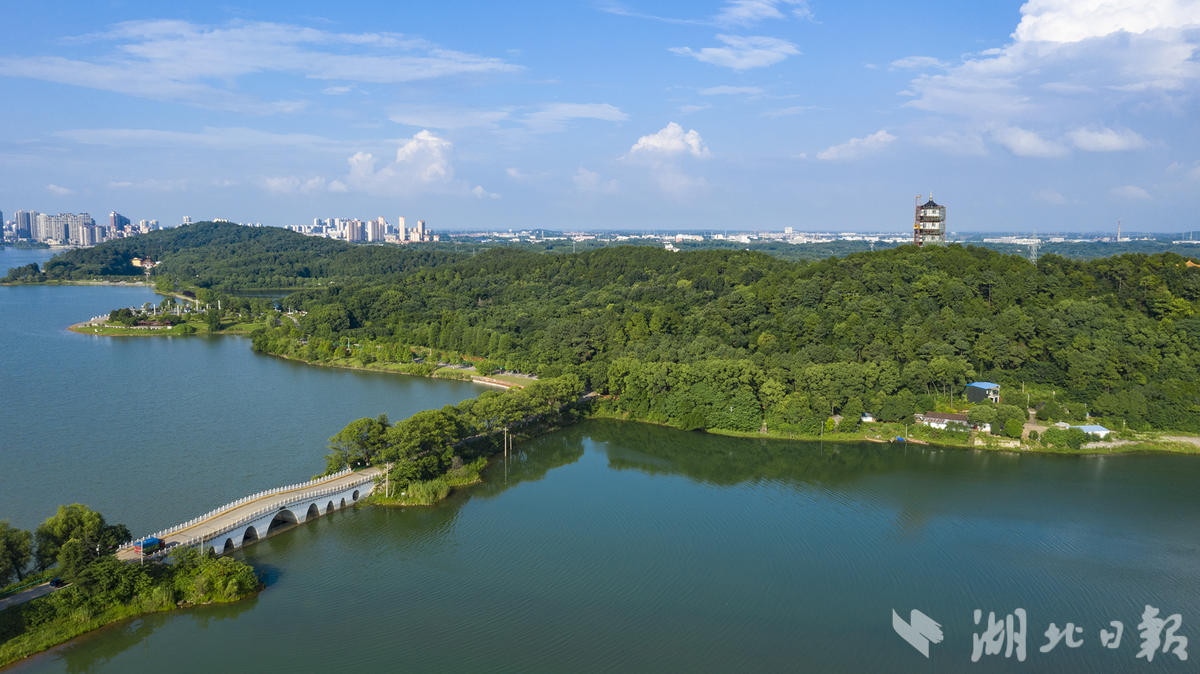 岳公楼上嘉鱼风光无限