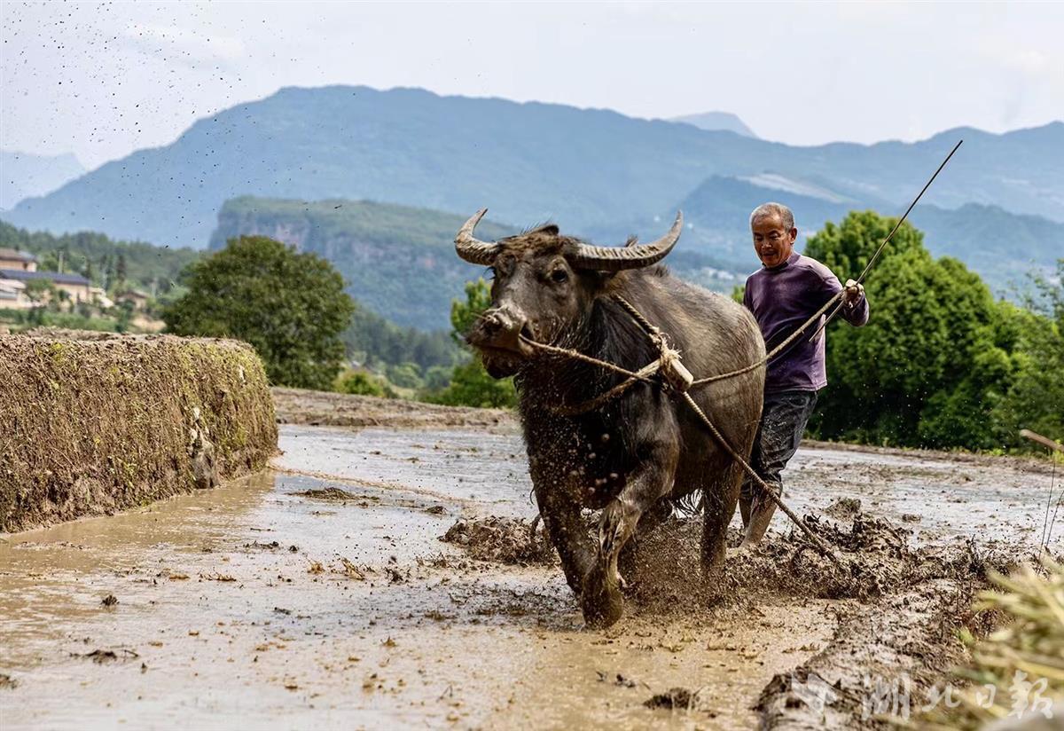 组图│乡村农耕新画卷