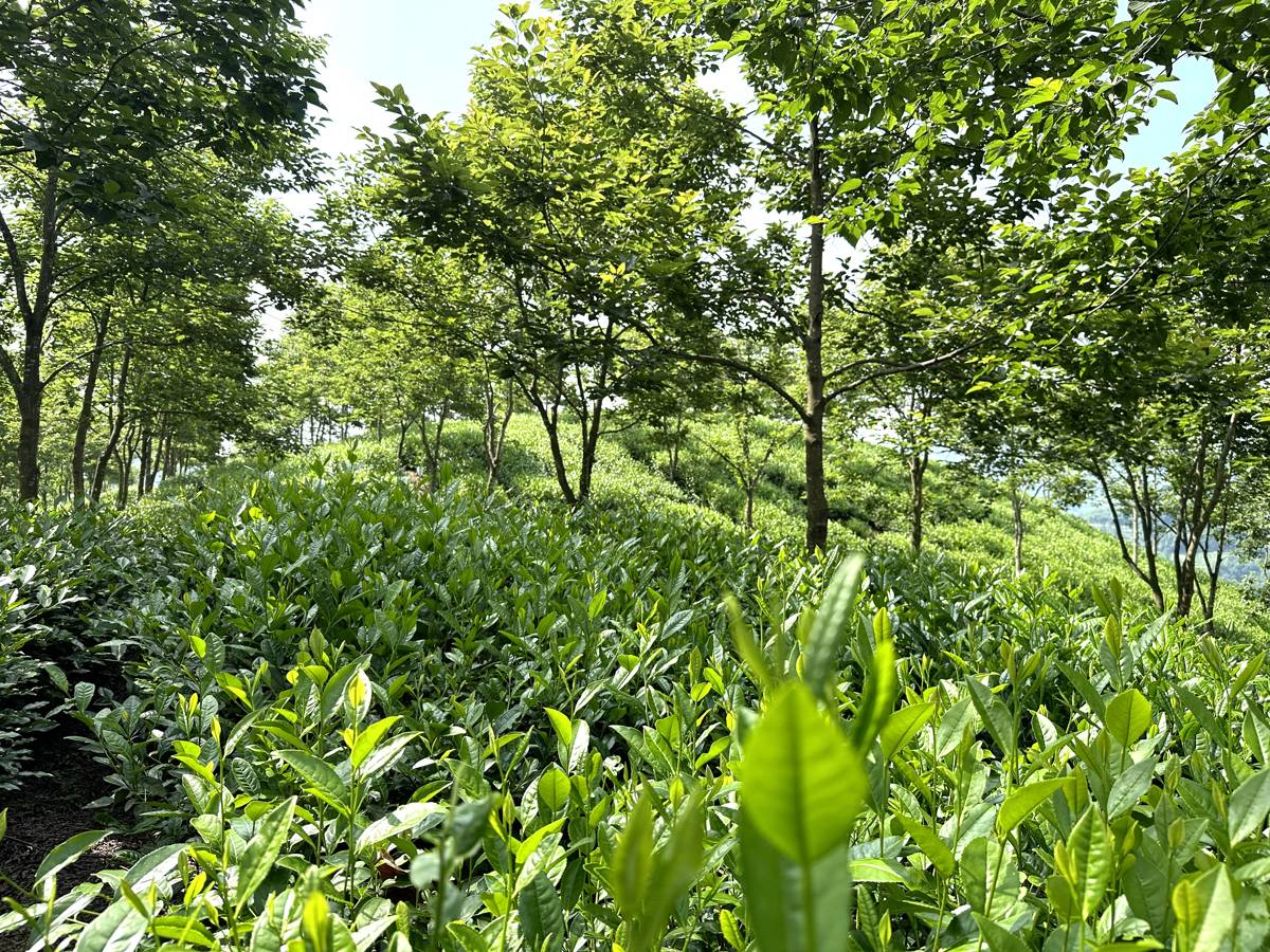 微信图片_20260420111256_10_579.jpg 微信图片_20260420111256_10_579.jpg