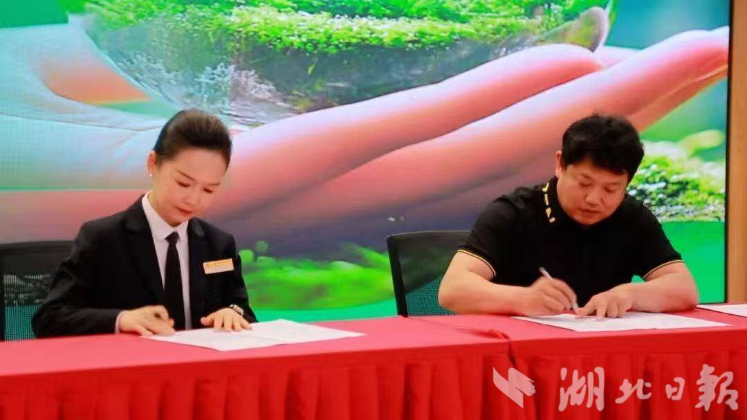 WechatIMG411.jpg WechatIMG411.jpg