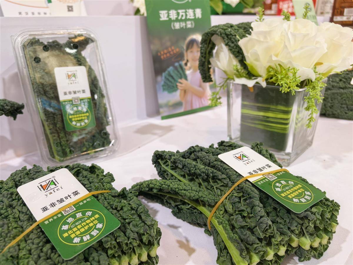 微信图片_20251019190111.jpg 微信图片_20251019190111.jpg