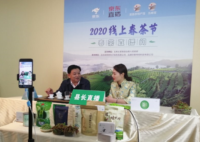 昨晚五峰县长万红直播为春茶代言