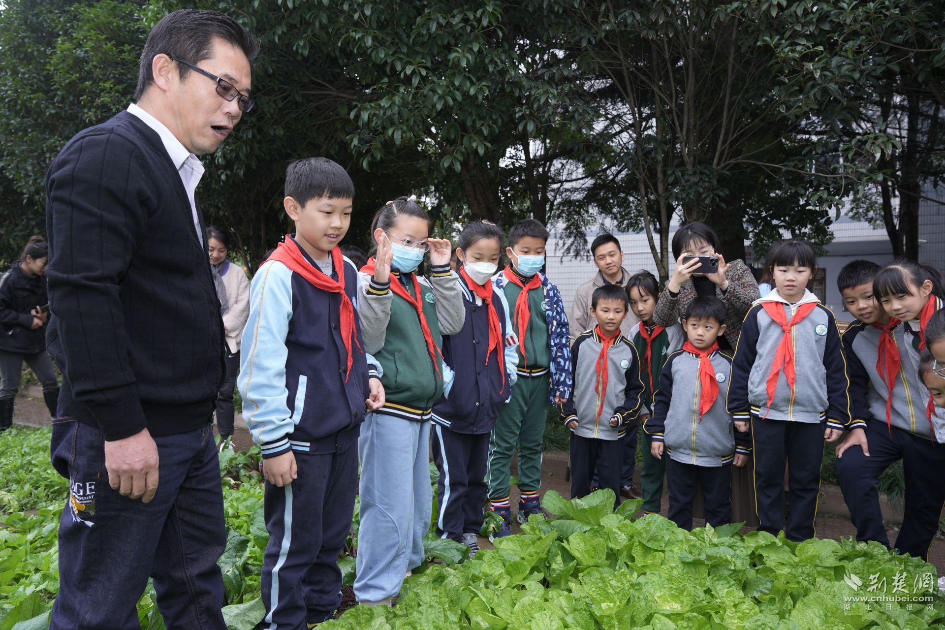 乐趣横生!街道口小学仁和路分校开展校园丰收节活动
