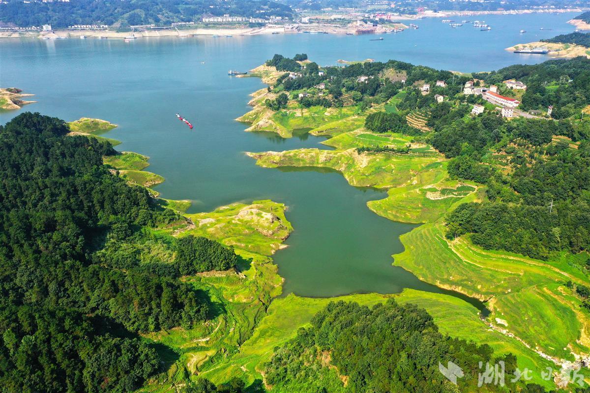 三峡库区消落带生态系统形成