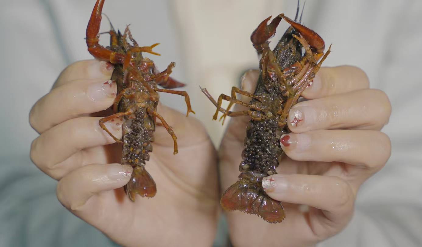 mmexport1775812411087.jpg mmexport1775812411087.jpg