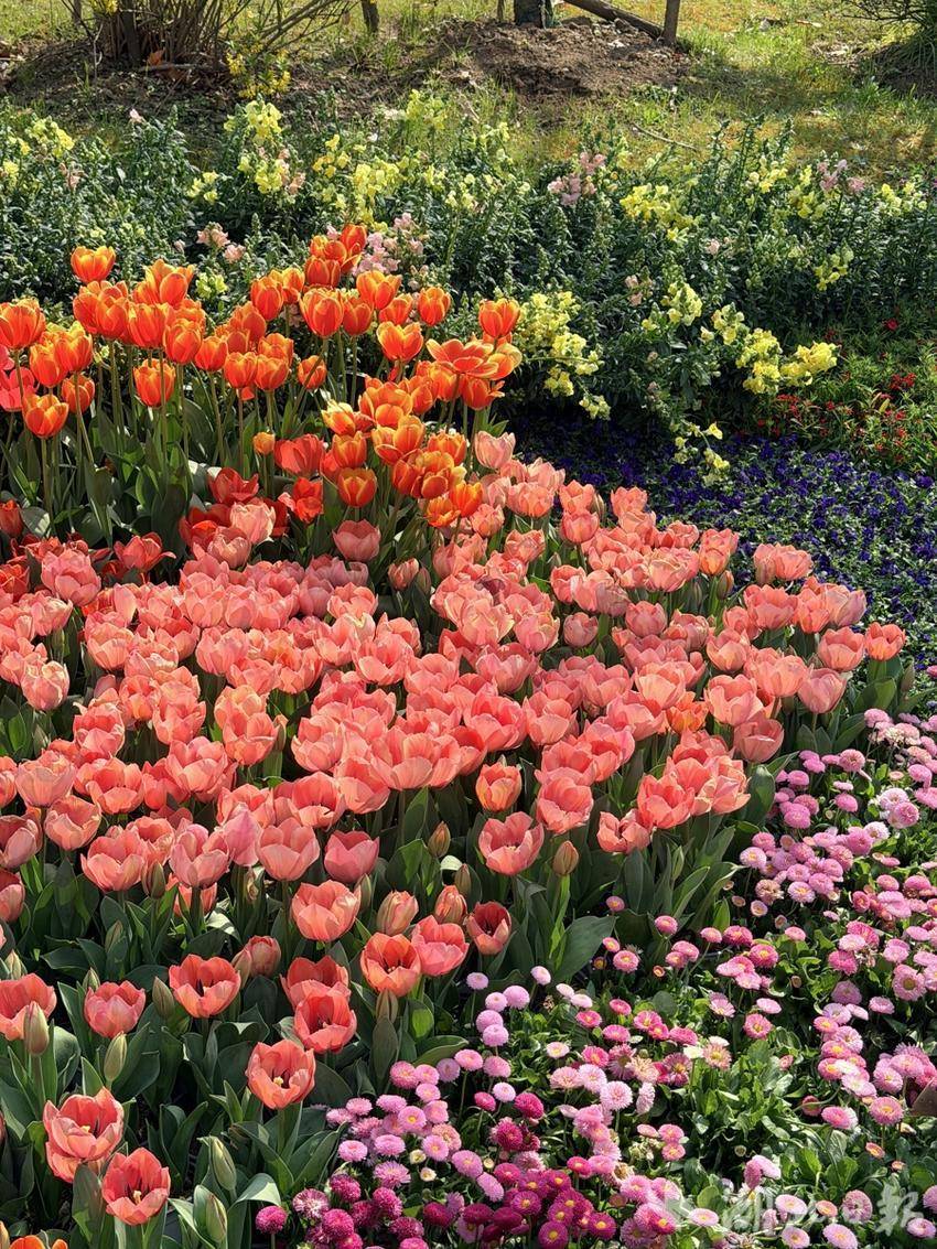 a8c90c0c791d144fc2a51c9f2f2093a3.jpg a8c90c0c791d144fc2a51c9f2f2093a3.jpg