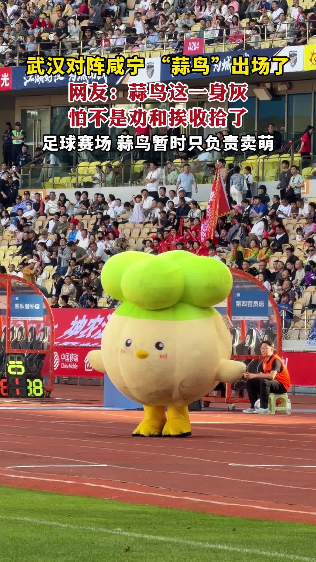 武汉对阵咸宁，“蒜鸟”出场试图劝和双方