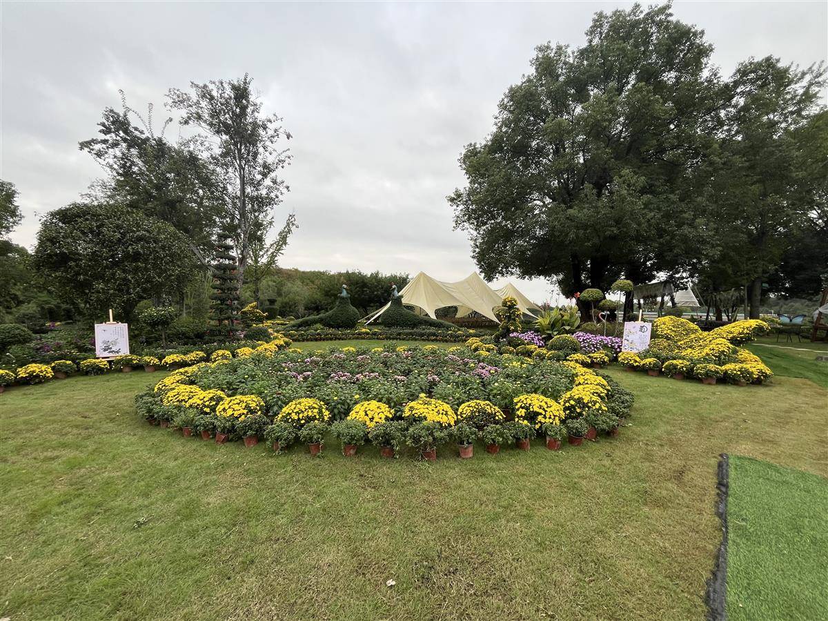 5b4ec2c4f37e25fc71a315256ab59113.jpg 5b4ec2c4f37e25fc71a315256ab59113.jpg