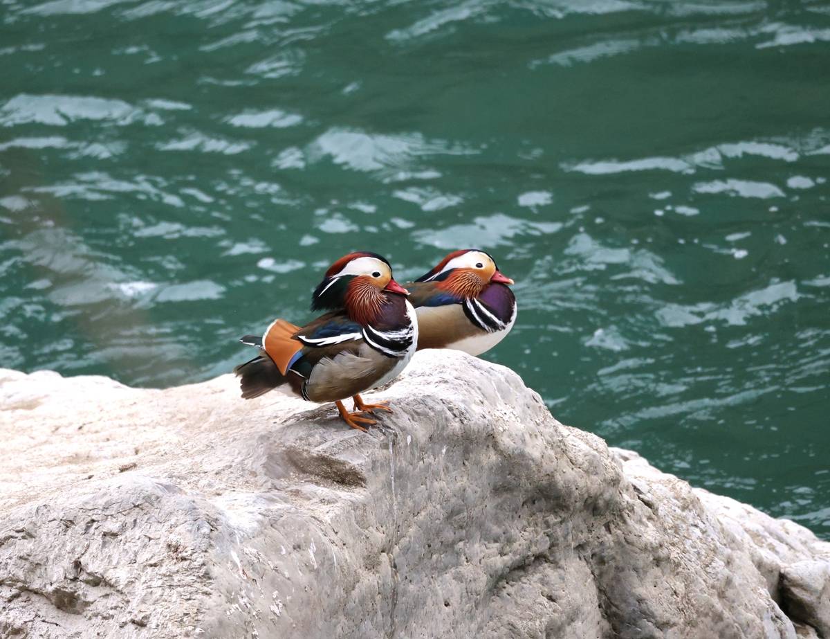 e2ff5e0ca53692b7a26a43c07f32b070.jpg e2ff5e0ca53692b7a26a43c07f32b070.jpg