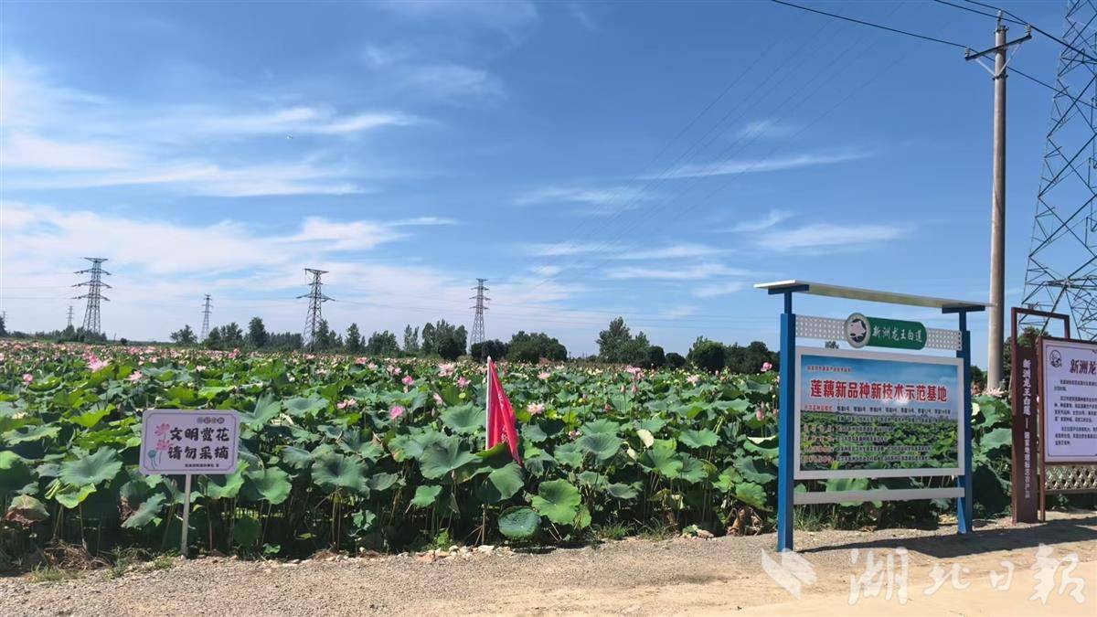 微信图片_20250725155543.jpg