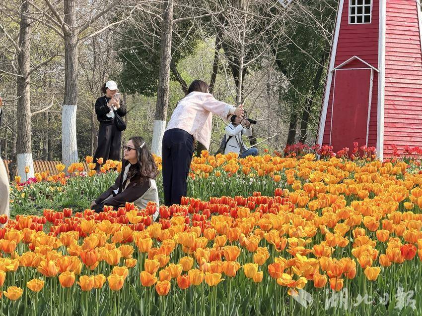 efc41a52c0bd0db26e15d233c8664cdb.jpg efc41a52c0bd0db26e15d233c8664cdb.jpg