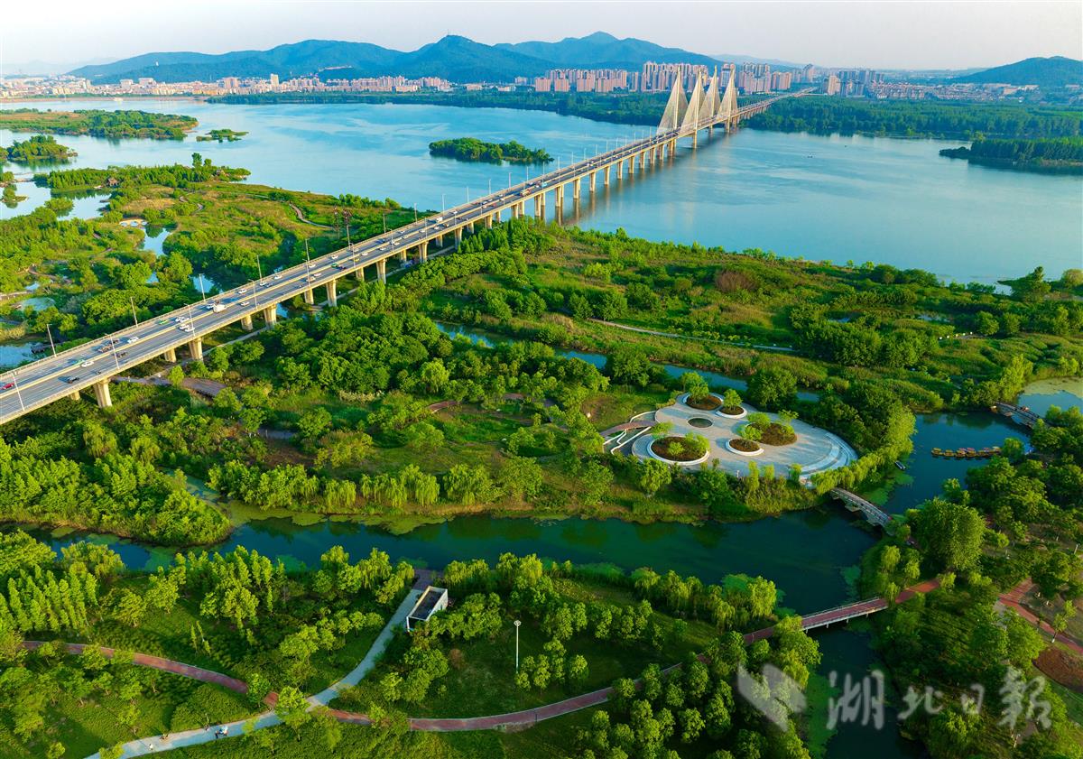 守护一江碧水,城市生态颜值日益提升,以月亮湾湿地公园,长寿岛国家