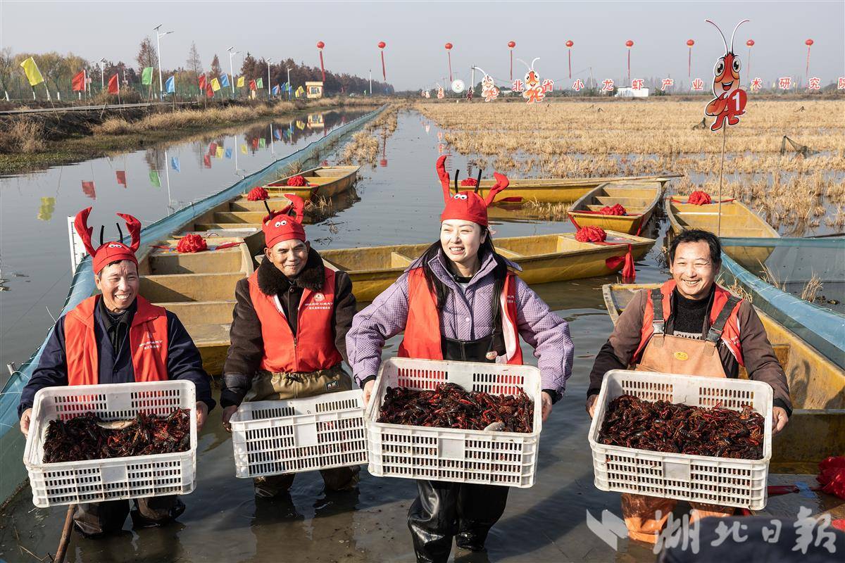 cb202412281734178631174pj8.jpg cb202412281734178631174pj8.jpg