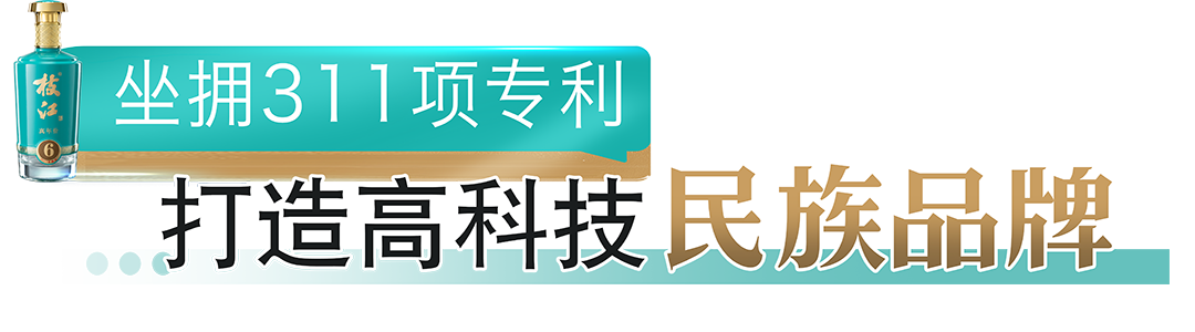 undefined zhuanli.png