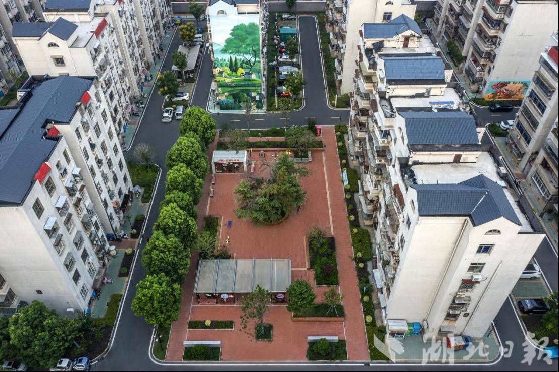 照片.png