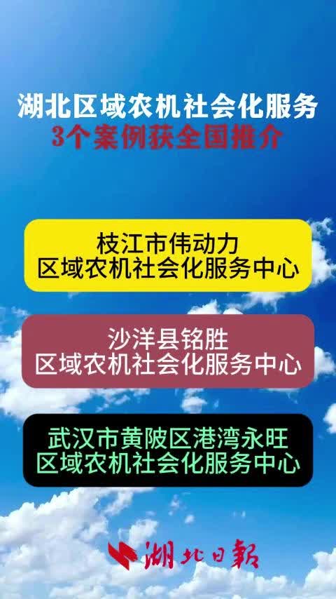 枝江模式、沙洋模式、黄陂模式，均入选！