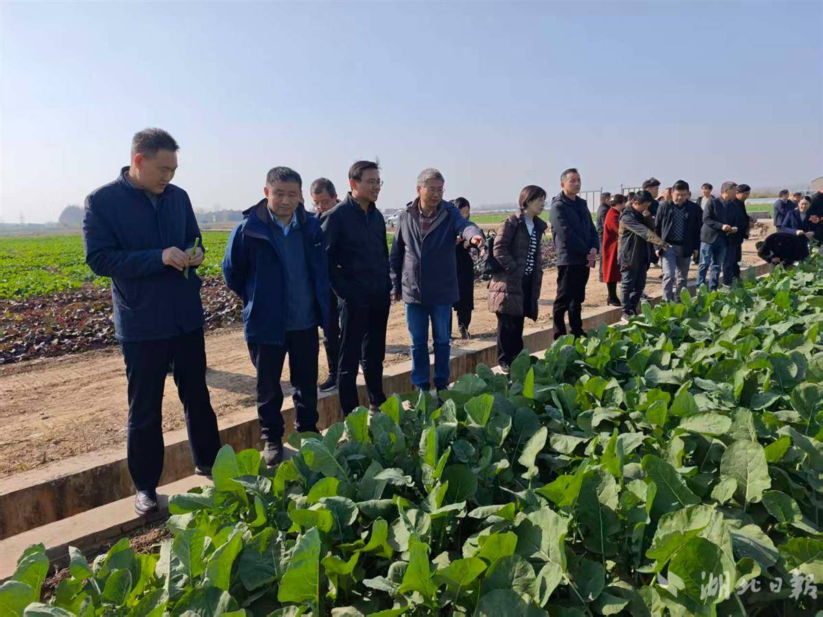 3769b1e49b280789dee6c829095b8a2d.jpg 3769b1e49b280789dee6c829095b8a2d.jpg