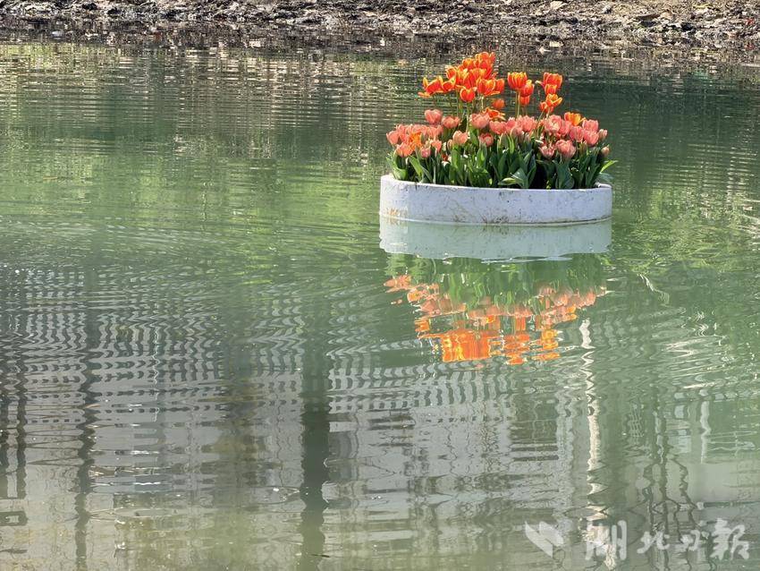 d1f421d1642e0d227f04075e27dcff4b.jpg d1f421d1642e0d227f04075e27dcff4b.jpg