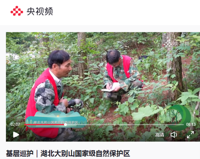 甄爱国在进行植物调查