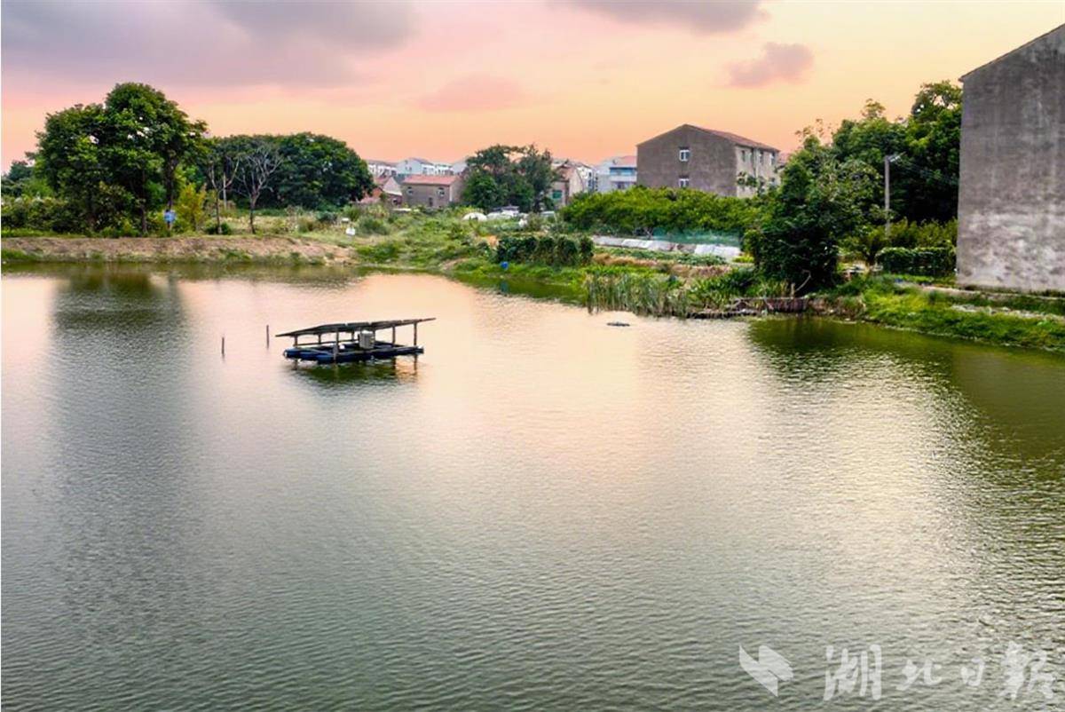 水塘3.jpg 水塘3.jpg