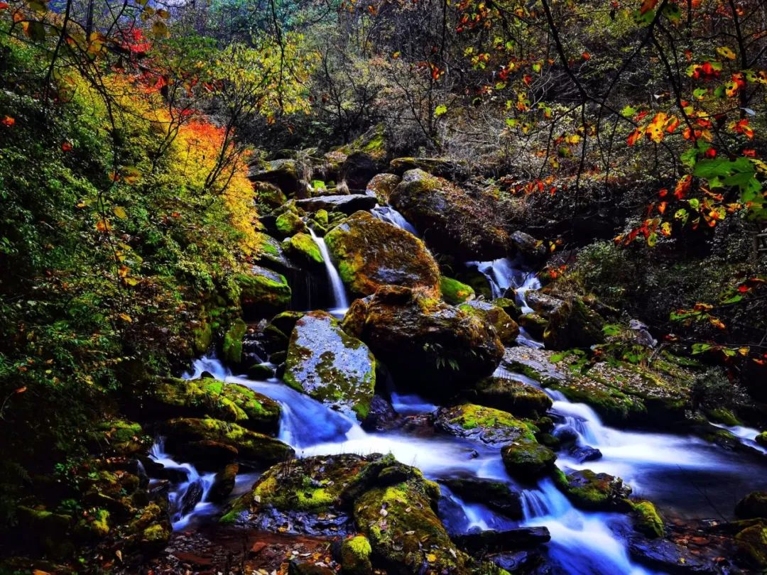古木参天也是aaa级风景区是长江支流香溪源的发源地位于木鱼镇西2公里