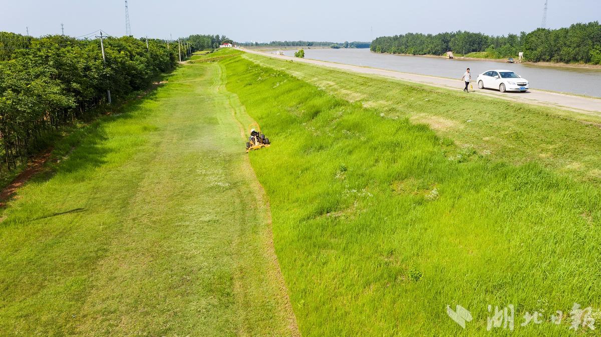 嘉鱼县河道堤防管理局成功演示机械除杂割草
