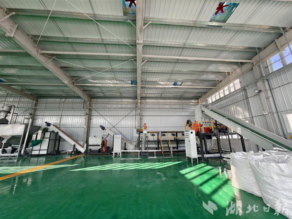 IMG_20260108_100458.jpg IMG_20260108_100458.jpg