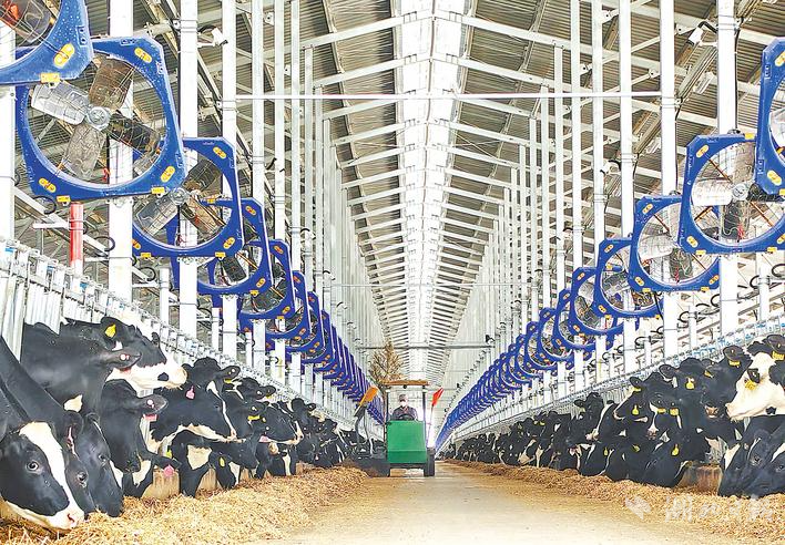 3d6adbe6db00ffc228d061dedfc8dd8d_57c47440fe2691145d10d8ff4d36c5ef.jpeg 3d6adbe6db00ffc228d061dedfc8dd8d_57c47440fe2691145d10d8ff4d36c5ef.jpeg