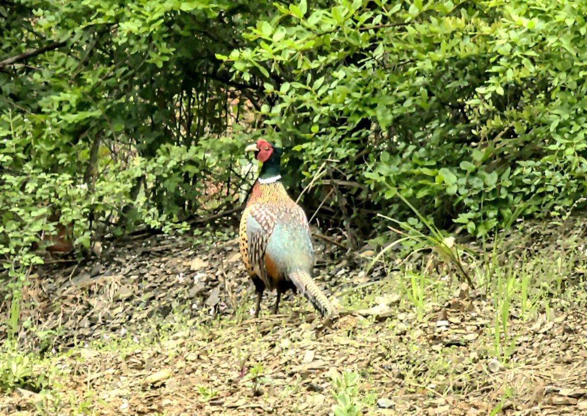 3d56688f28a82149f8a75bc73d23072e.jpg 3d56688f28a82149f8a75bc73d23072e.jpg