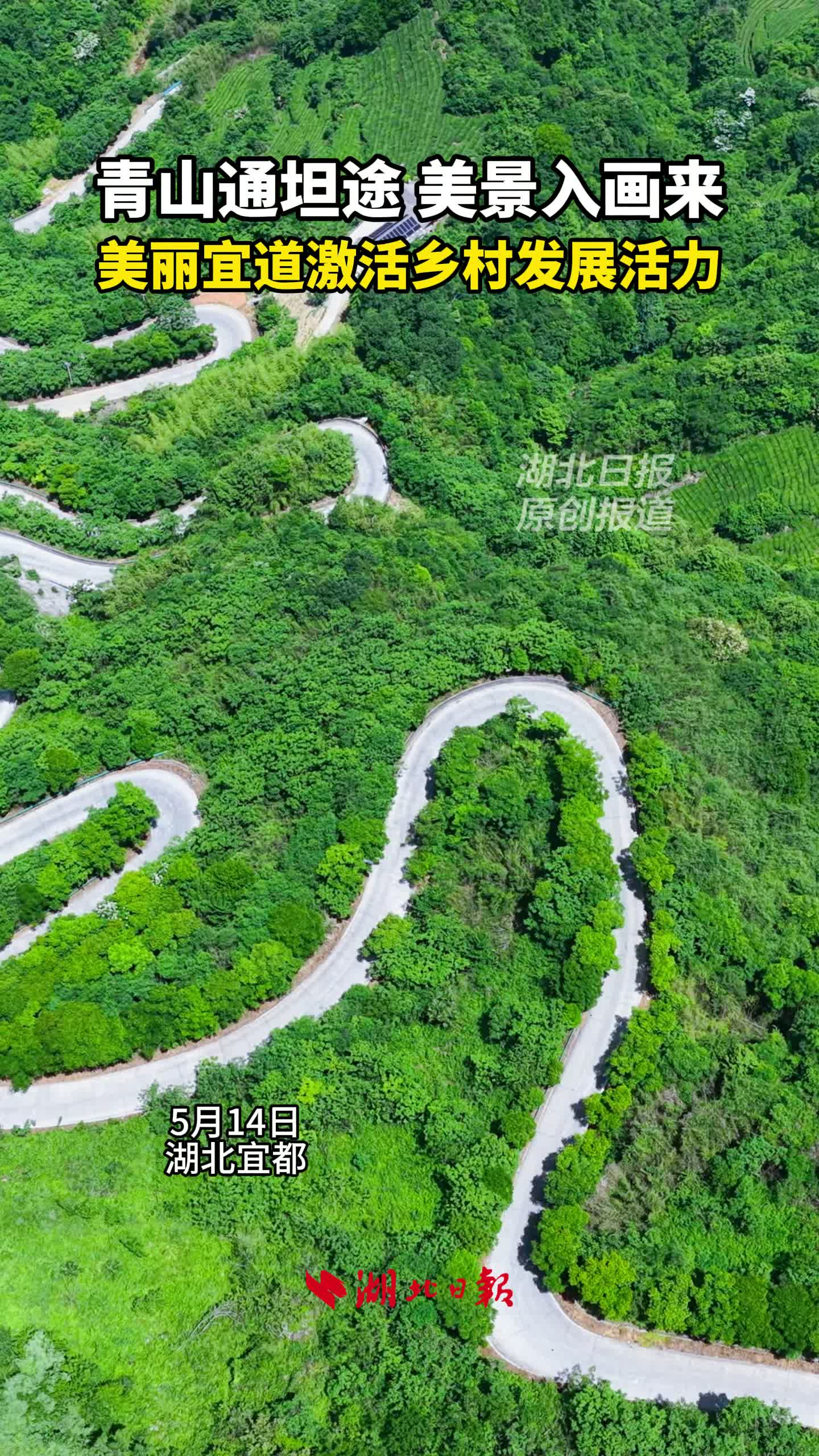 青山通坦途 美景入画来！宜都美丽宜道激活乡村发展活力