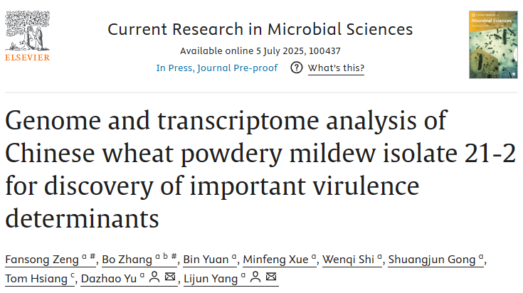 686e299029b64.png 686e299029b64.png