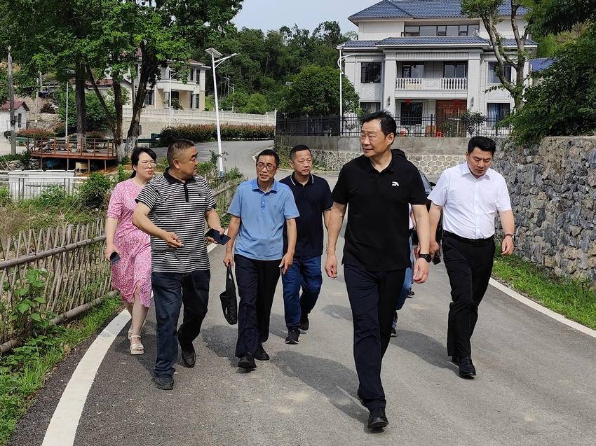 董方平调研中伙铺镇基层党组织建设和村集体经济发展时强调：夯实基层基础 挖掘资源潜力 切实增强老百姓获得感、幸福感和归属感 - 湖北日报新闻客户端