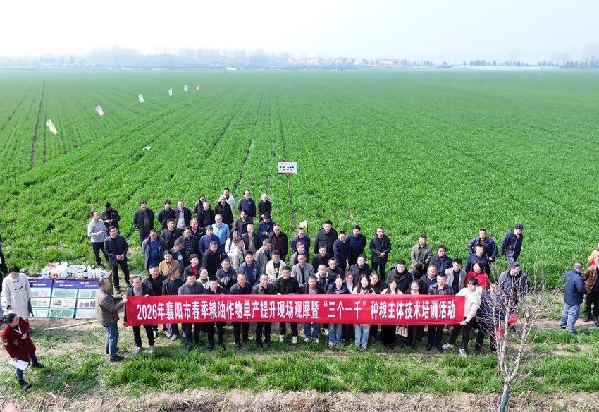 提单产 强技术 绘“丰”景.docx