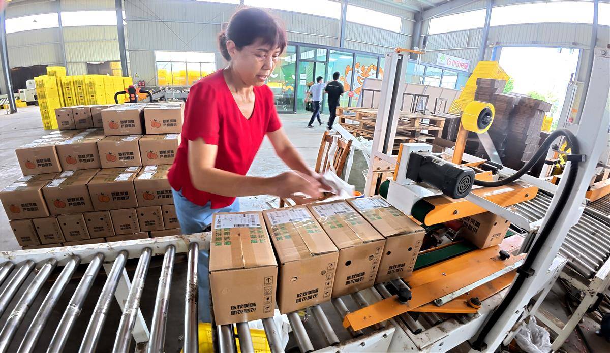 DJI_20250910095157_0031_D.jpg DJI_20250910095157_0031_D.jpg