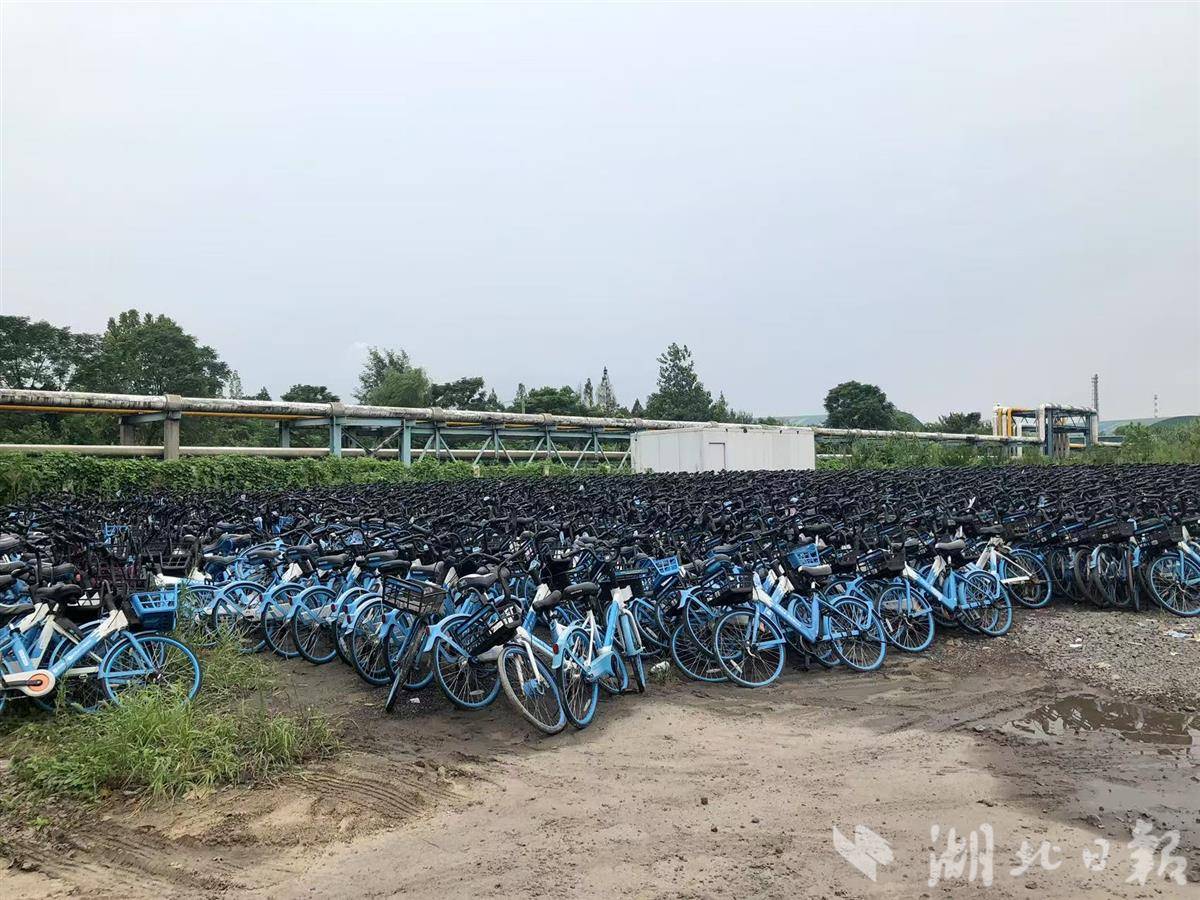 微信图片_20250815181550.jpg