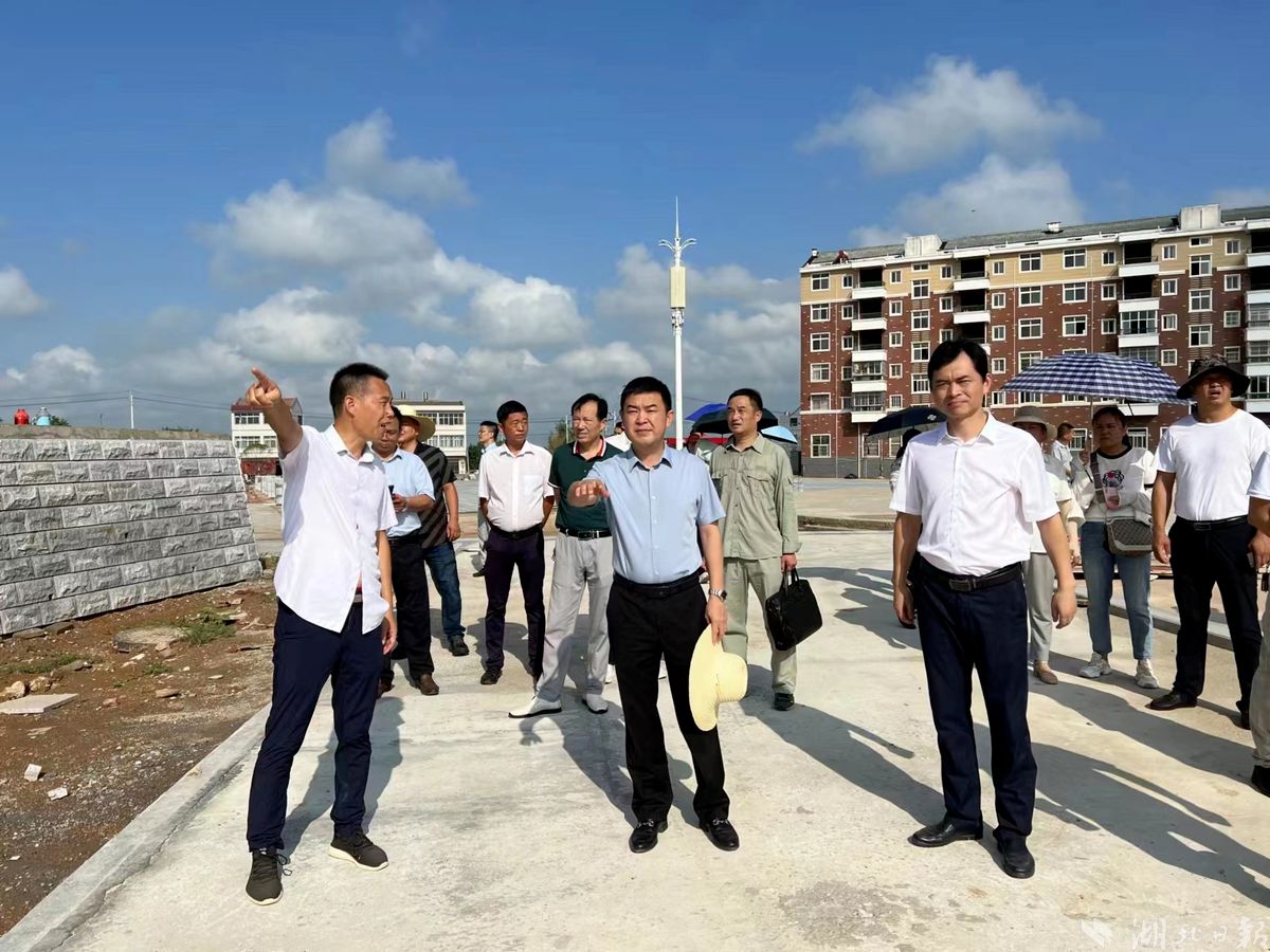 孝昌这个镇有个桃源梦