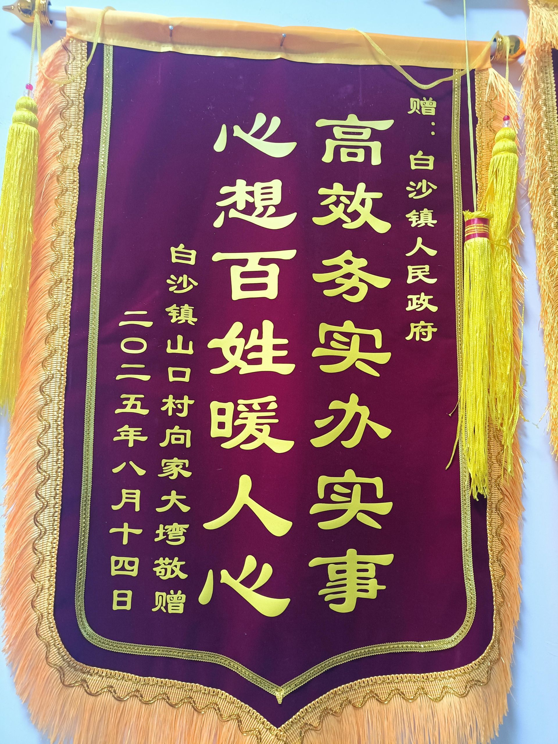 阳新白沙镇:为民办实事 村民送锦旗