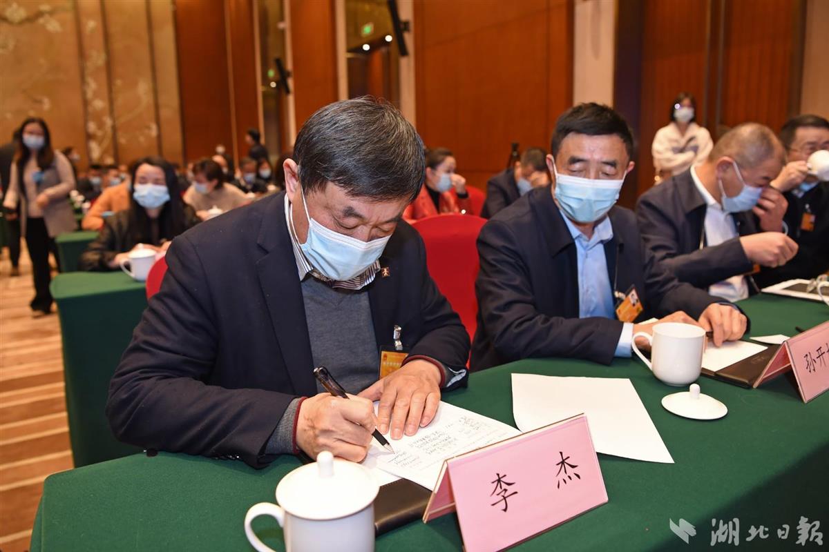 湖北代表团首次就代表议案进行集中会签
