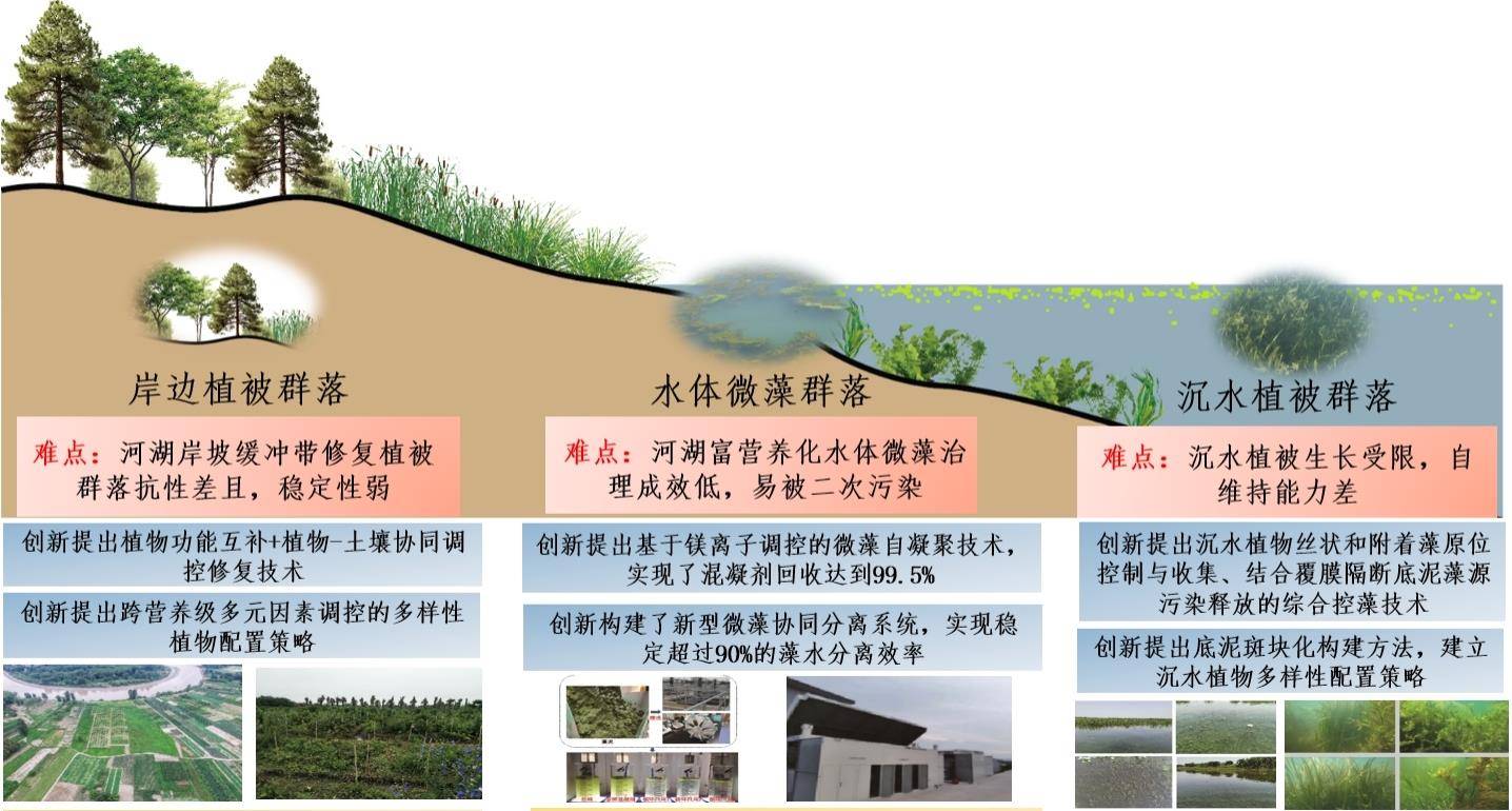 高入侵风险河湖缓冲带植被恢复与水体富营养化协同控制理论与技术.jpg