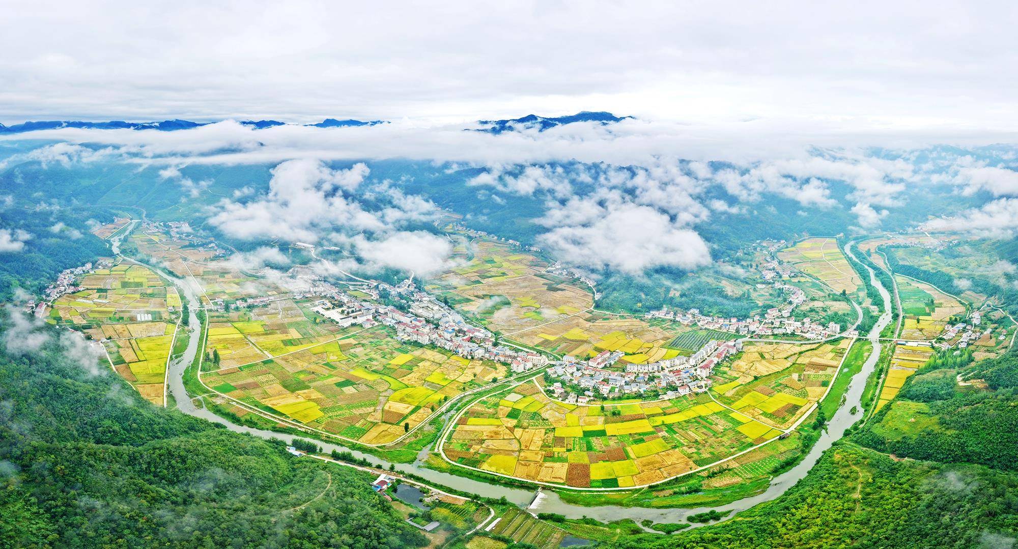 image_949691_2025年9月14日,十堰市竹山县深河乡两道村,两道河流域大面积水稻迎来丰收时节,金黄色的田园与蜿蜒的河流、交织的公路、整洁的村庄、苍翠的青山、飘渺的云雾相互映衬,构成一幅和美乡村画卷。.jpg