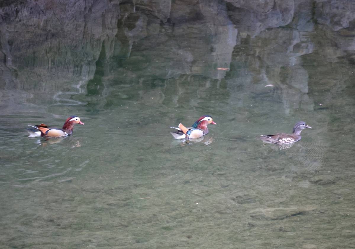 be400c687ec29c93f8afa4cf606ec710.jpg be400c687ec29c93f8afa4cf606ec710.jpg