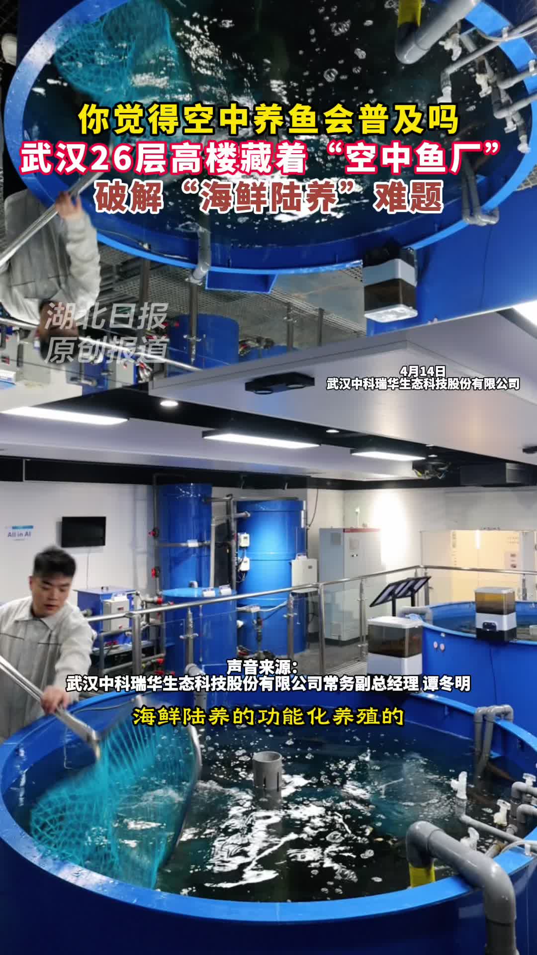 海鲜陆养！武汉26层高楼藏着“空中鱼厂”