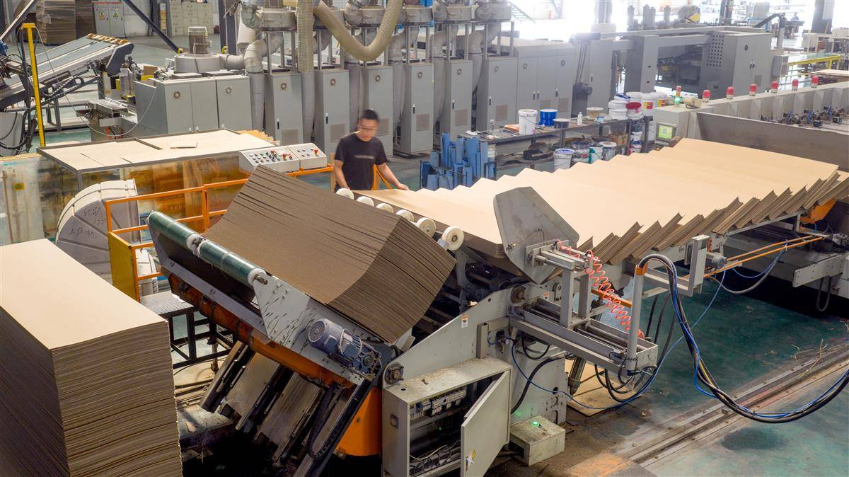 DJI_20250803095748_0030_D.jpg DJI_20250803095748_0030_D.jpg